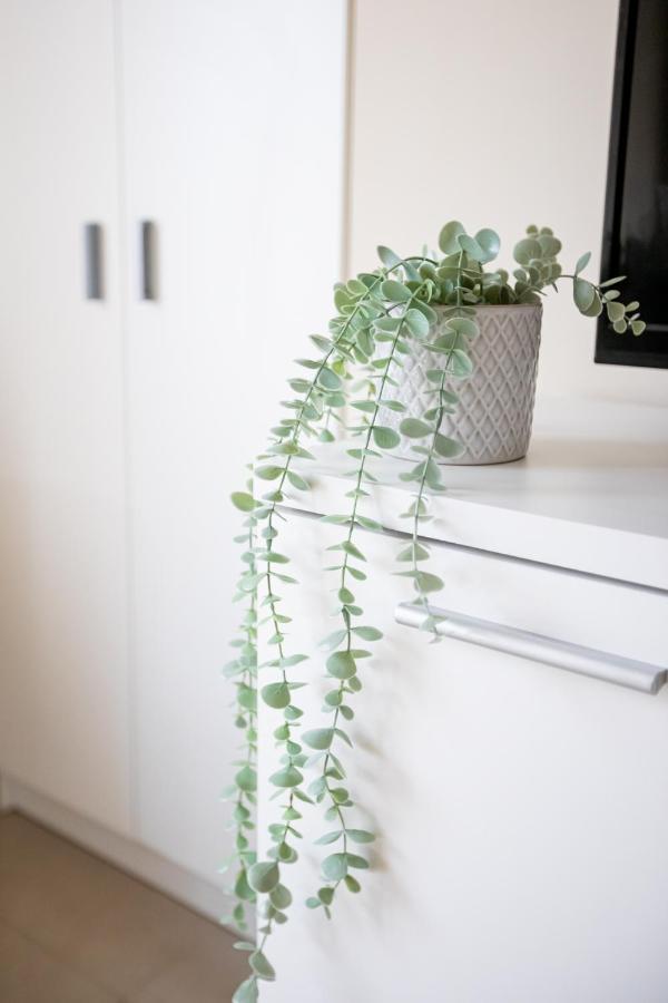 Dona Concha Alameda Apartment Seville Exterior photo